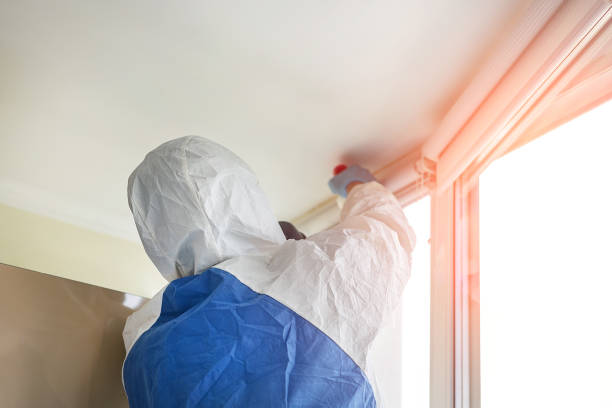 Trusted Pismo Beach, CA Mold Removal Services Experts